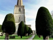 71. The "grandest churchyard in England" with (just over) 99 yew trees
